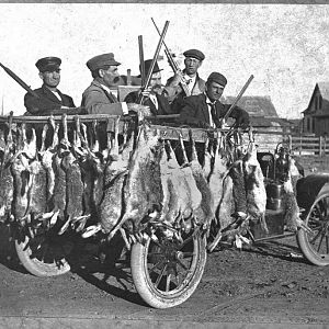 Jack Rabbit hunt in Mead, Kansas USA, year 1912