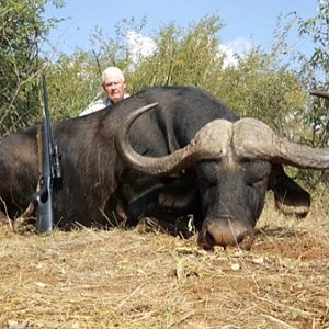 South Africa Hunting Cape Buffalo