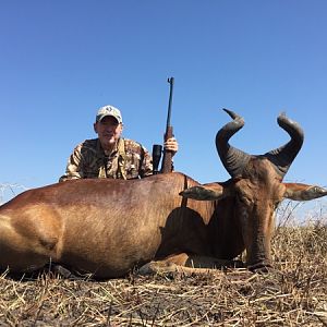 Hunting Lichtenstein's Hartebeest in South Africa