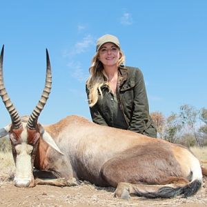 South Africa Hunting Blesbok