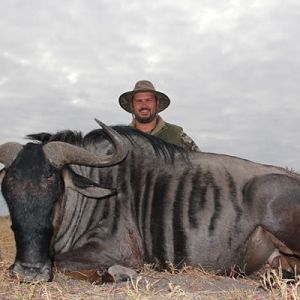 Hunt Blue Wildebeest in South Africa