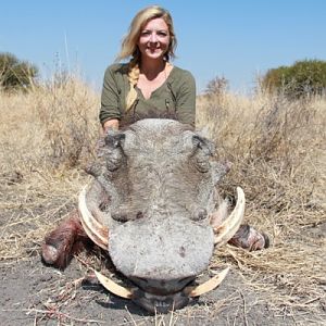 Warthog Hunting South Africa