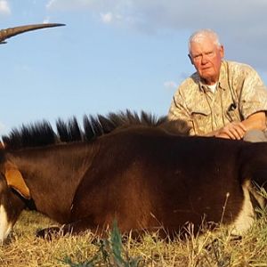 Sable Antelope Hunting South Africa