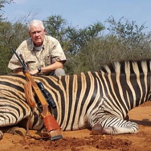 Burchell's Plain Zebra Hunt South Africa