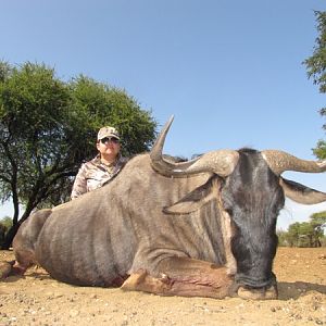 Blue Wildebeest Hunting South Africa