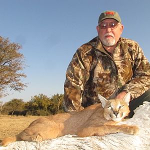 Caracal Hunting South Africa