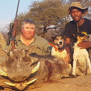 Warthog Hunting South Africa