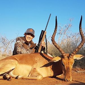 Impala Hunt South Africa