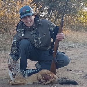 Hunt Jackal in South Africa