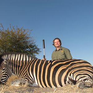 Burchell's Plain Zebra Hunting South Africa