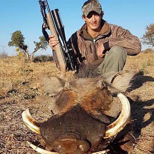 Hunting Warthog in South Africa