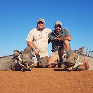 South Africa Hunting Warthog