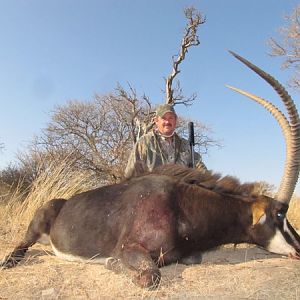 Sable Antelope Hunt South Africa