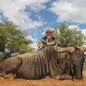 South Africa Hunting Blue Wildebeest