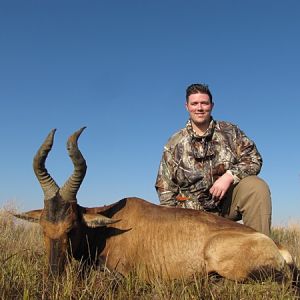 Red Hartebeest Hunting South Africa