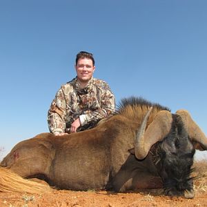 South Africa Hunt Black Wildebeest