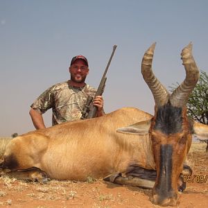 Hunting Red Hartebeest in South Africa