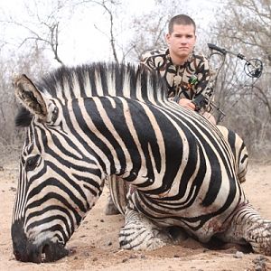 Bow Hunt Burchell's Plain Zebra in South Africa