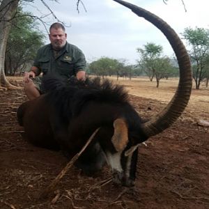 Sable Antelope Hunt South Africa