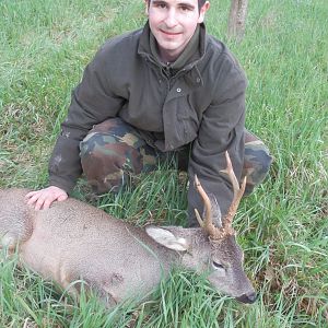 Atypical Roe Deer from Italy