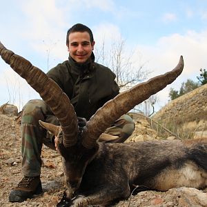 Beceite Ibex Hunt Spain