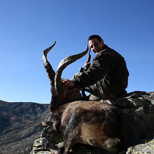 Hunting Gredos Ibex in Spain