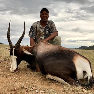 South Africa Hunt 15" Inch Bontebok