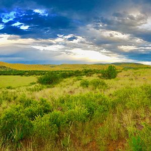 Diverse landscape offers for great spot and stalk hunting