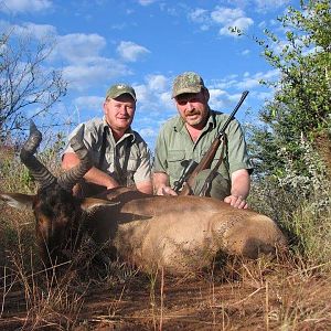 Red Hartebeest Hunting Namibia