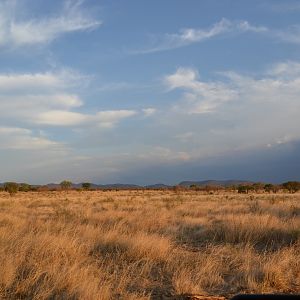 Limpopo Area South Africa