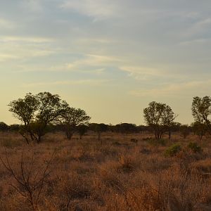 Limpopo Area South Africa