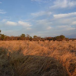 Limpopo Area South Africa