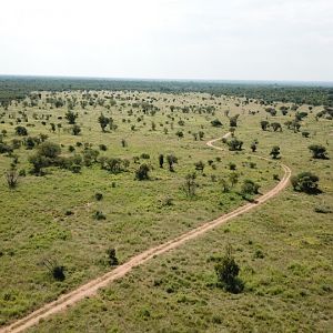 Hunting Area South Africa