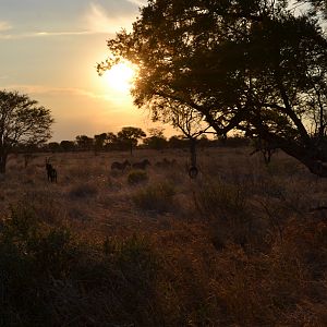 Sunset South Africa