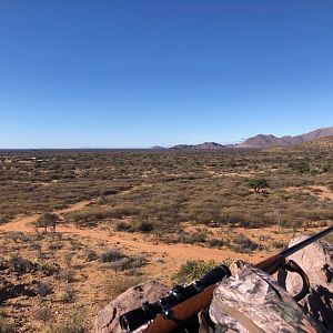 Hunting Area South Africa