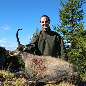 Super Alpine Chamois Female from Italy