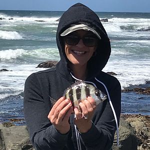 Fishing Zebra Fish in South Africa