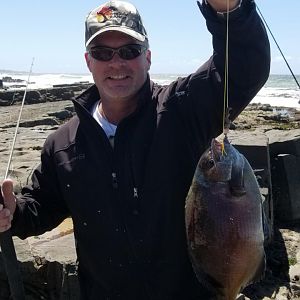 South Africa Fishing Bronze Bream Fish