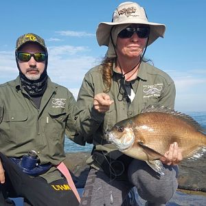 South Africa Fishing Bronze Bream Fish