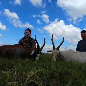 Common & White Blesbok Hunting South Africa