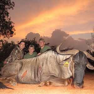 Hunt Blue Wildebeest in South Africa