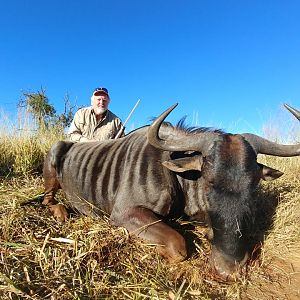 South Africa Hunt Blue Wildebeest