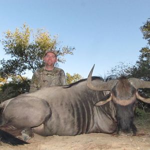 Hunt Blue Wildebeest in South Africa