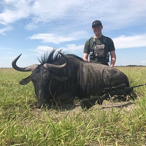 South Africa Hunting Blue Wildebeest