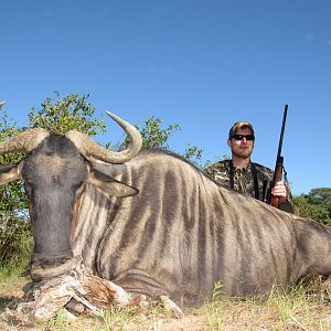 Blue Wildebeest Hunt South Africa