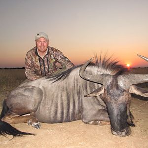 South Africa Hunt Blue Wildebeest