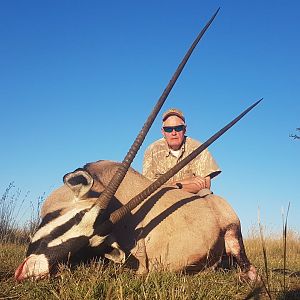 South Africa Hunting Gemsbok