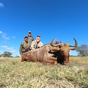 South Africa Hunt Golden Wildebeest