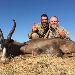 Black Springbok Hunting South Africa