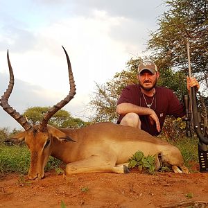 Impala Hunt South Africa